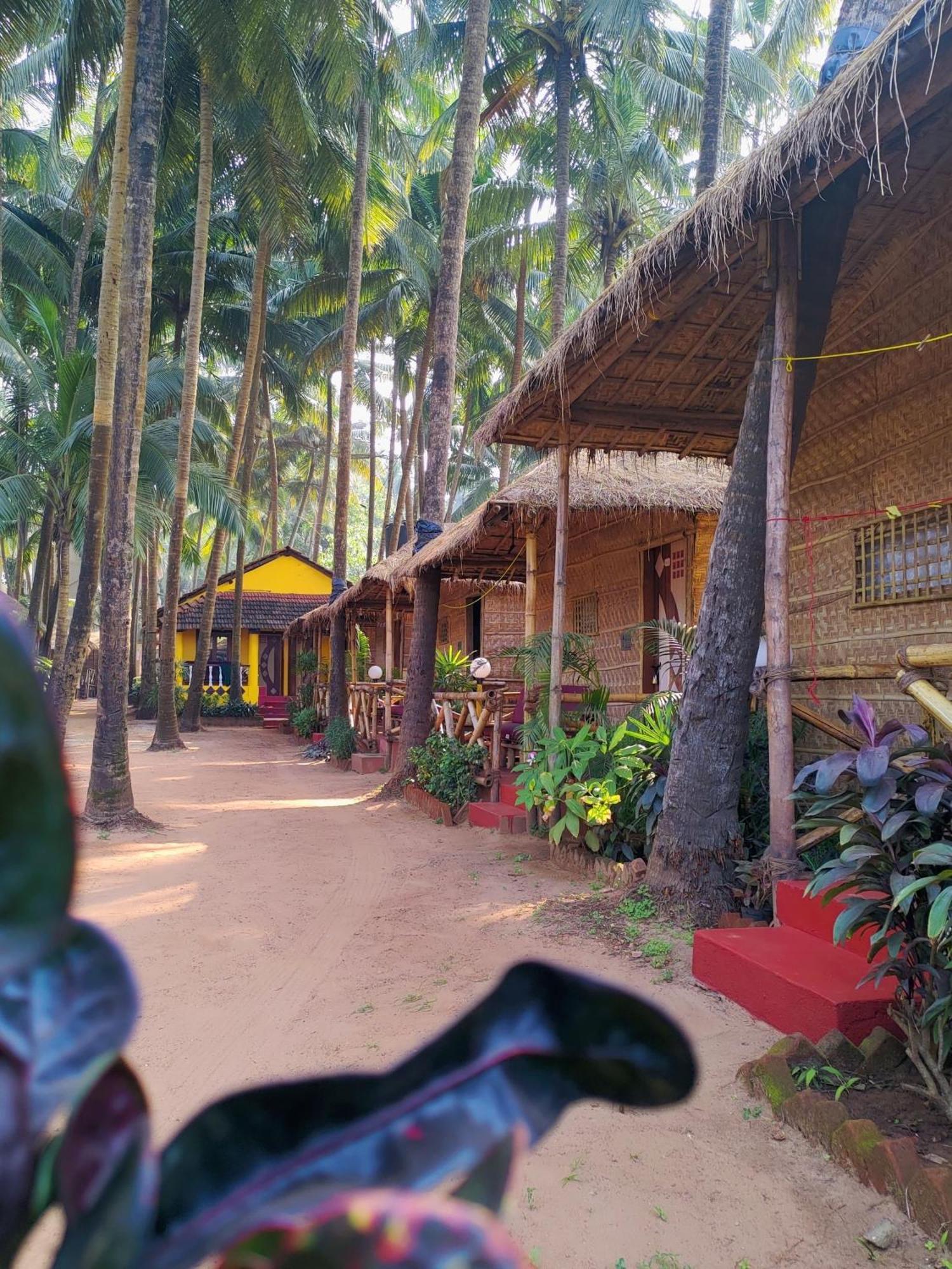 Dunes Holiday Village มานเดรม ภายนอก รูปภาพ